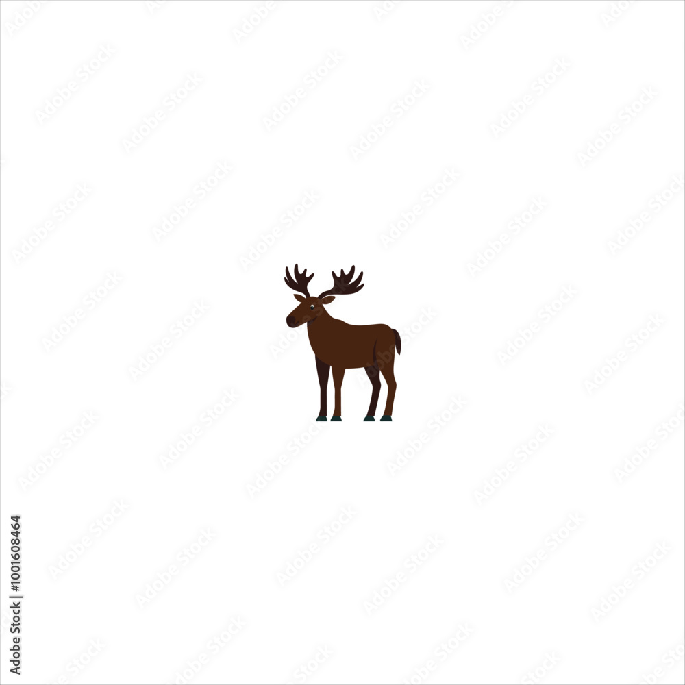 deer deer