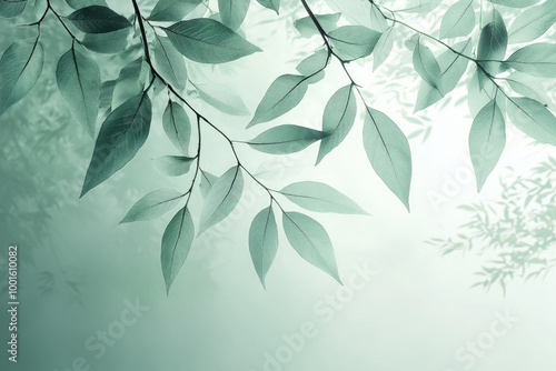 Pale Green Background