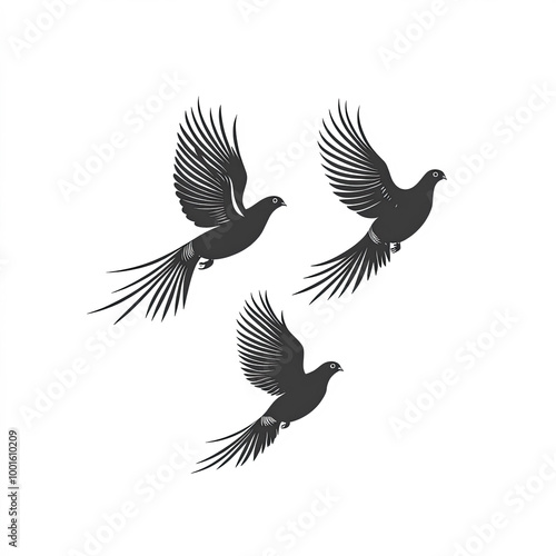 Pheasant Flying Silhouettes...
