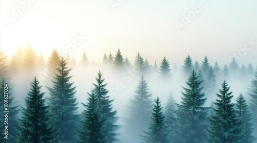 Fog drifting over dense pine forest, tranquil scene, 3D illustration