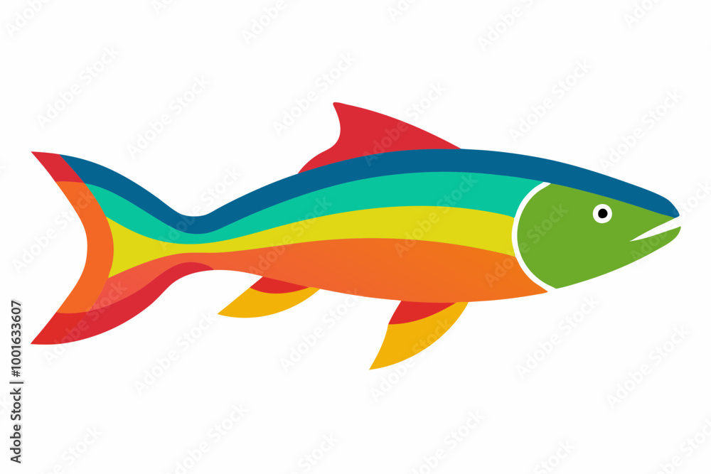 Vector illustration of rainbow trout fish on a white background Vector illustration of rainbow trout fish on a white background