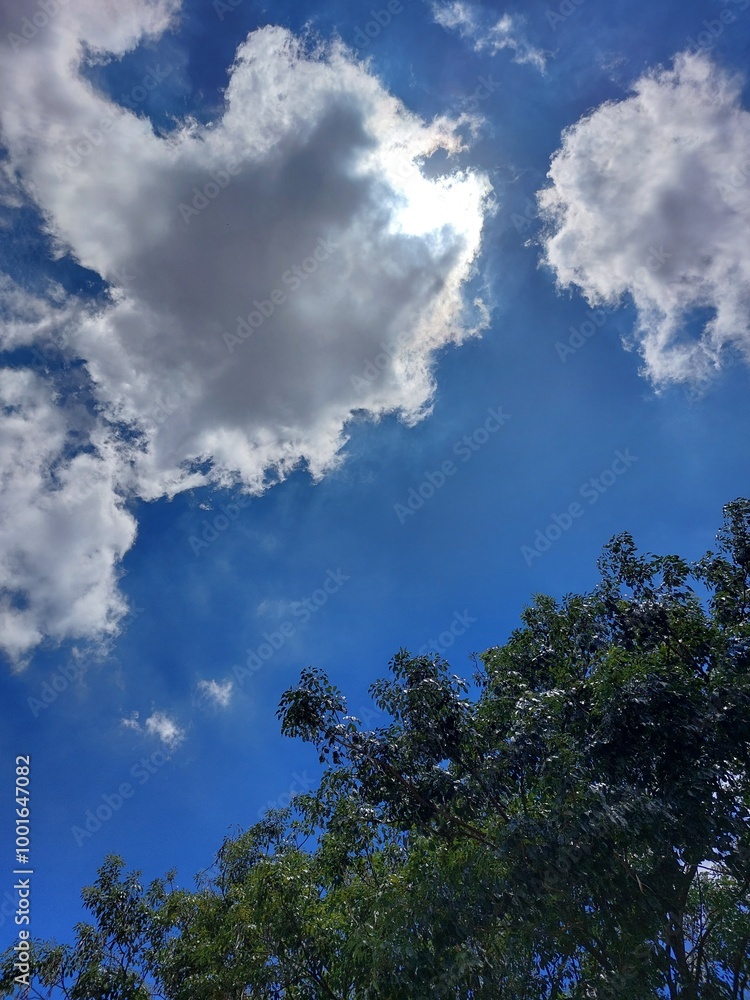 Obraz premium sky and clouds