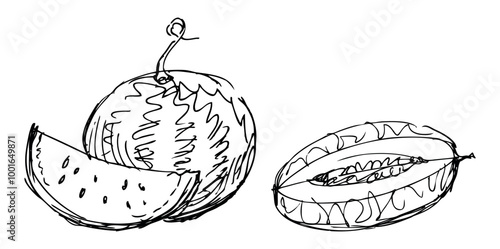 Sketches of ripe fruits, watermelon, half melon, hand drawn vector illustration