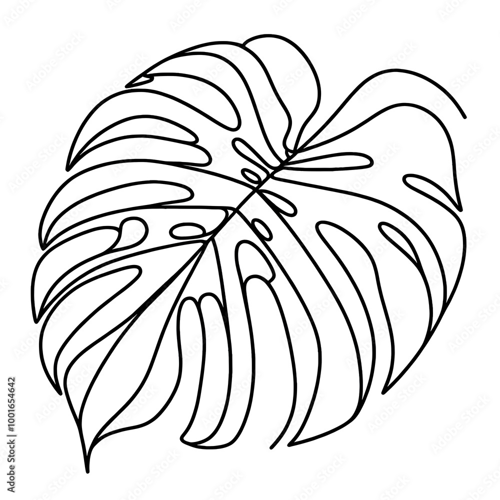 Fototapeta premium monstera leaf close up