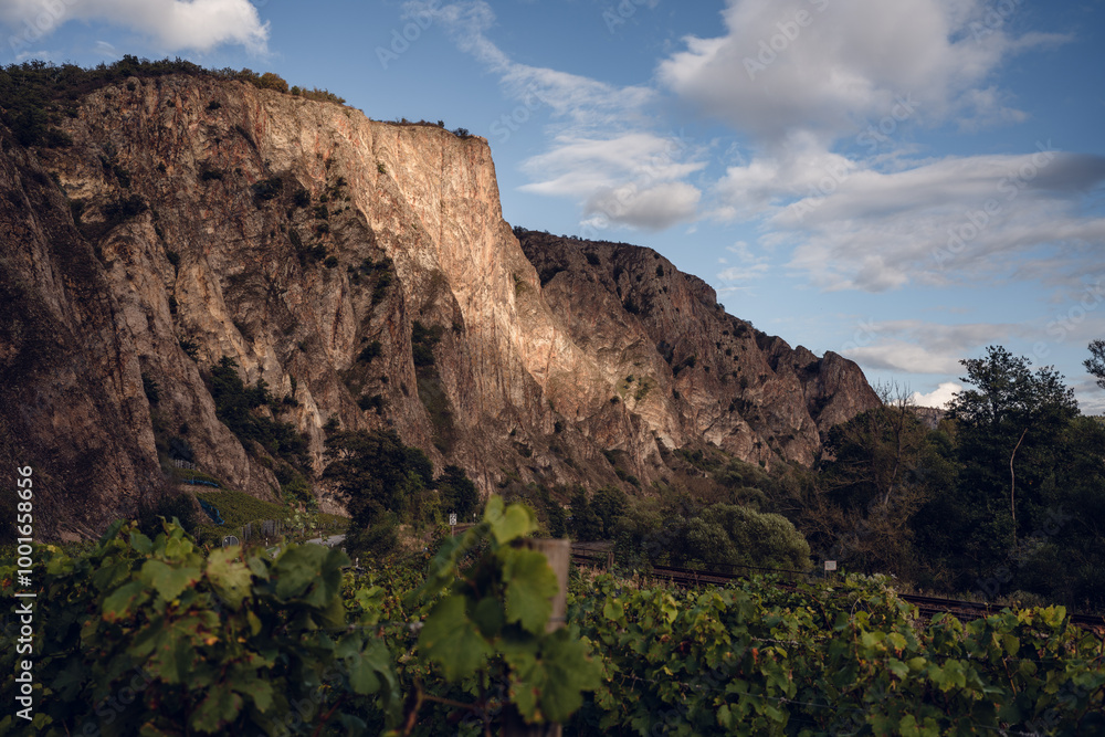 Weinlage am Rotenfels in Bad Münster am Stein-Ebernburg, 09/24