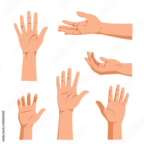 Illustration of various hand gestures displayed by different human hands on a white background.