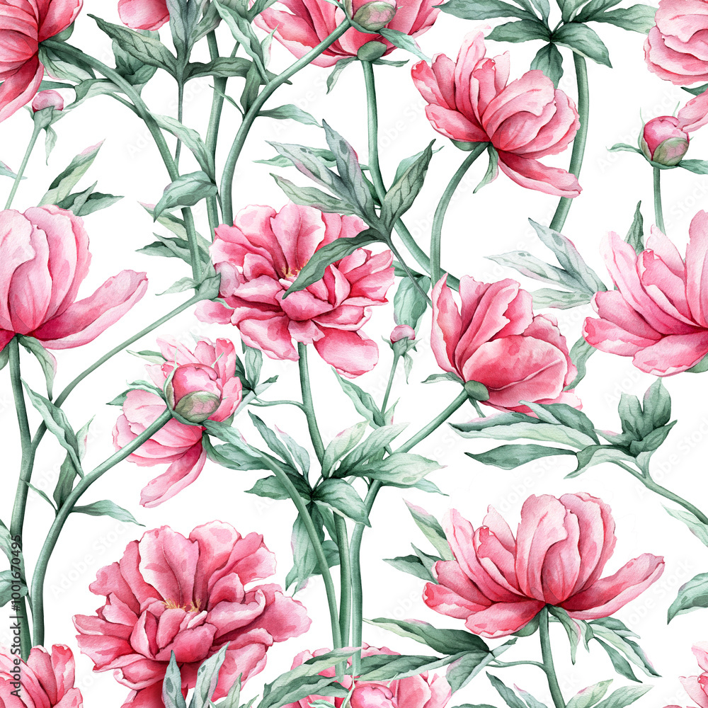 Seamless pattern with watercolor bouquet of pink peony flowers in full bloom. Hand drawn illustration beautiful floral flower. Repeat wallpaper with summer botanical plant on isolated. Seamless pattern with watercolor bouquet of pink peony flowers in full bloom. Hand drawn illustration beautiful floral flower. Repeat wallpaper with summer botanical plant on isolated.