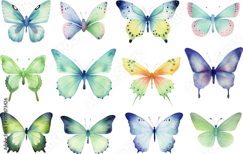 Set of vector watercolor butterflies in various hues