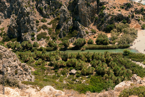 Preveli Beach, Crete, Greece- July 18, 2024: Palm trees row leading to The Cretan Sea, Preveli Beach in summer season