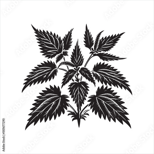 Wallpaper Mural Nettle Plant Outline silhouette on white background
 Torontodigital.ca