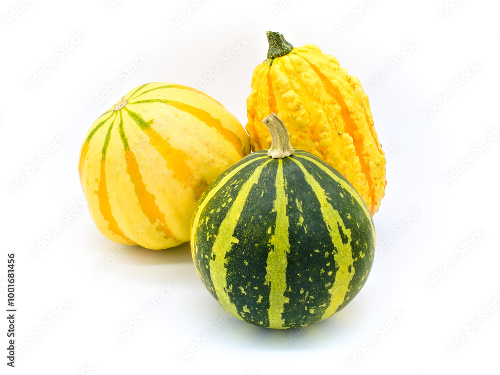 Few tiny pumpkins of different varieties on a white background