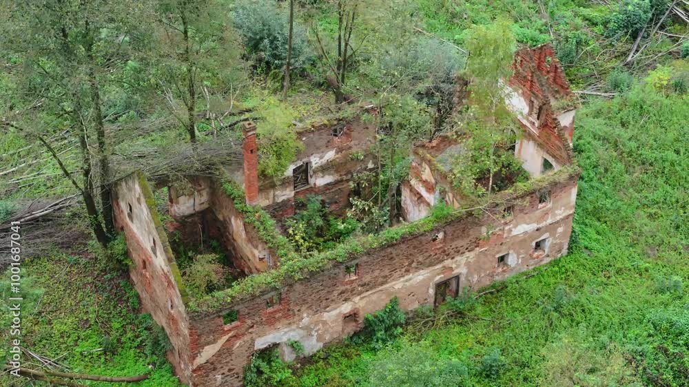 Forest house ruins filmed by drone. Trees rise between crumbling brick walls, surrounded by fresh greenery. A swollen stream runs past in the mountain valley. Forest house ruins filmed by drone. Trees rise between crumbling brick walls, surrounded by fresh greenery. A swollen stream runs past in the mountain valley.
