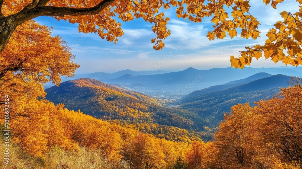 Fototapeta premium The mountains , are stunning in the fall, with vibrant yellow and colorful maple leaves. 