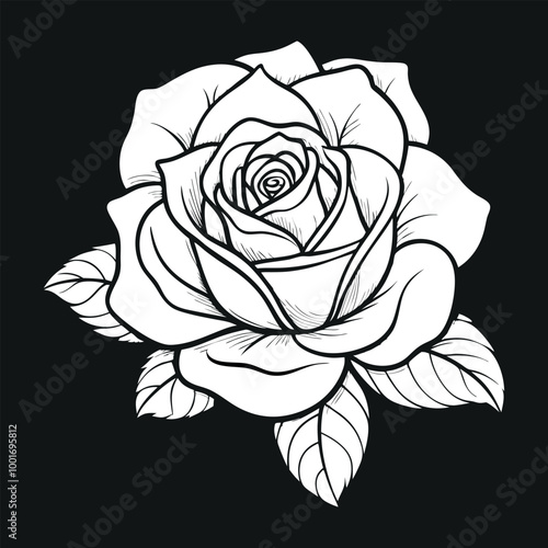 pencil art of rose vector image illustration and art work photo