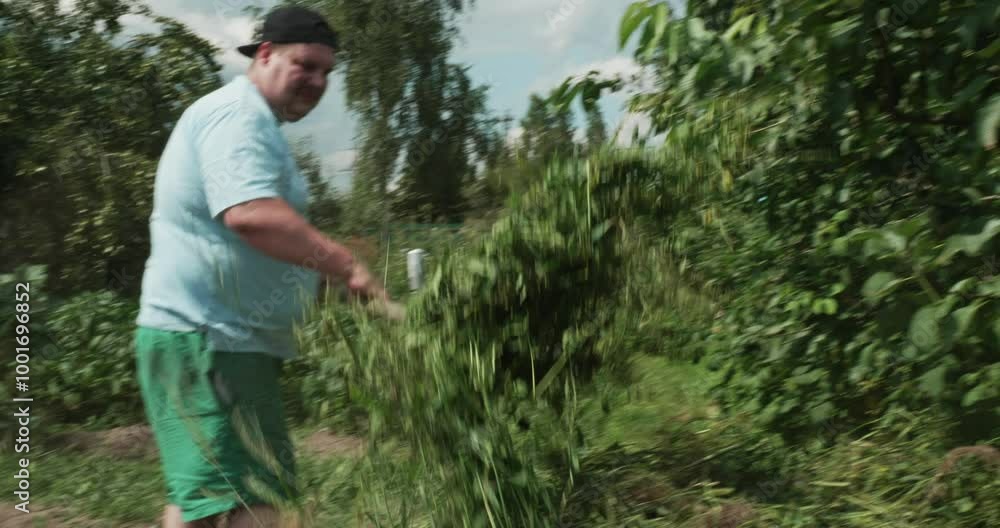 A man clears grass from his garden with a pitchfork. A farmer gathers weeds from his garden with a pitchfork, throwing them into a growing bunch after completing the weeding process. A man clears grass from his garden with a pitchfork. A farmer gathers weeds from his garden with a pitchfork, throwing them into a growing bunch after completing the weeding process.