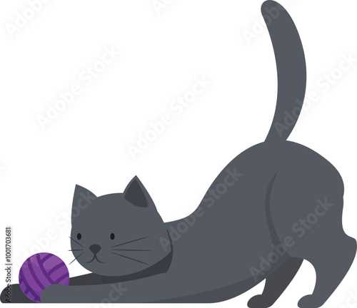 Playful grey cat is stretching its body and getting ready to play with a purple yarn ball