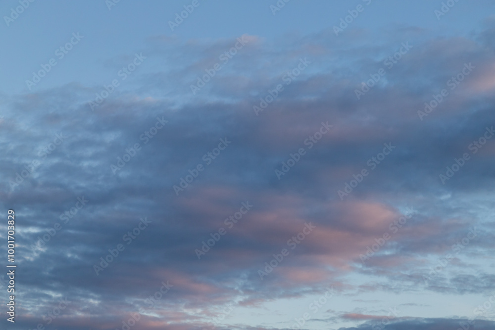 Unusual dark pink layered stratus clouds, skyscape. Unusual dark pink layered stratus clouds, skyscape.