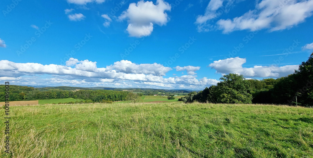 landscape with grass and sky landscape with grass and sky