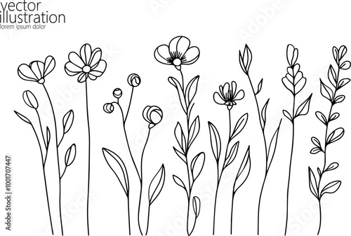  One line floral set element. Black and white monochrome continuous single line art. Floral nature Woman day gift romantic date illustration sketch outline drawing