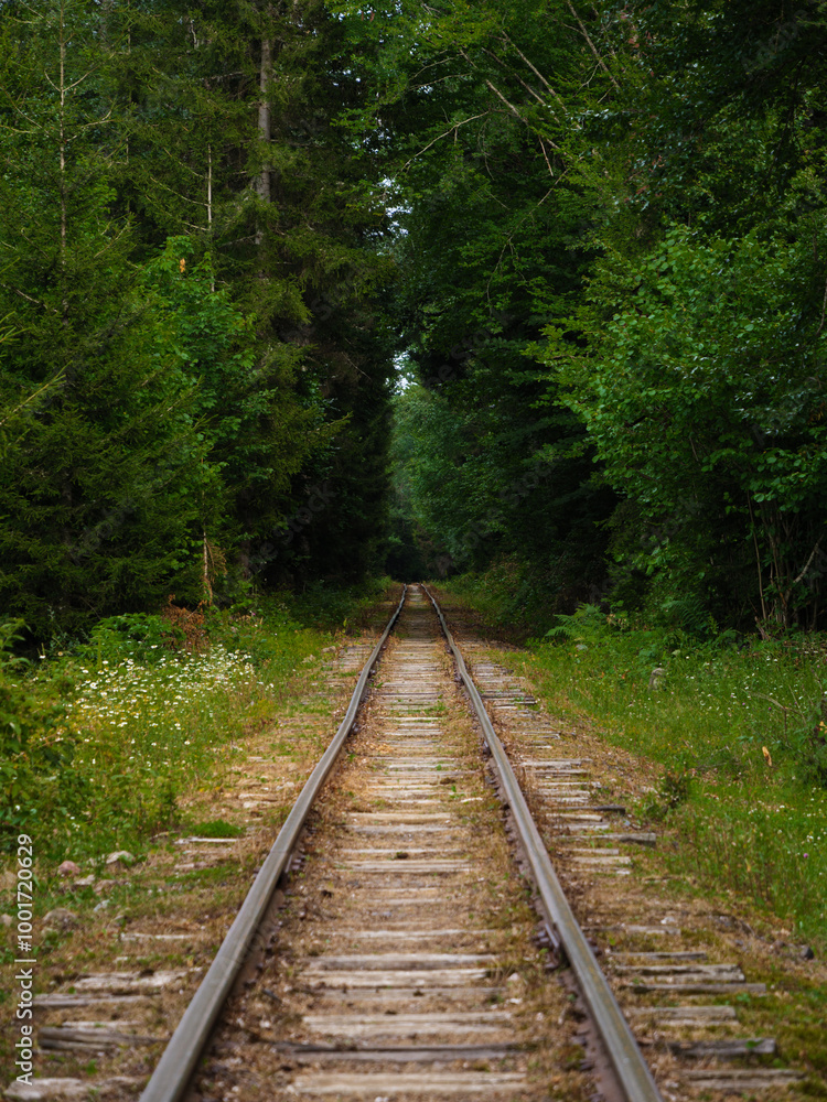 Quiet railway tracks tretch into the distance through lush green forest on a serene day. Quiet railway tracks tretch into the distance through lush green forest on a serene day.