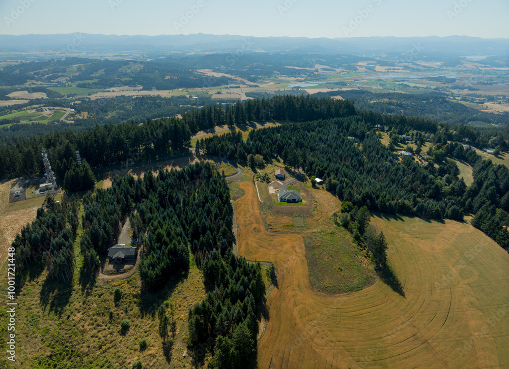 Obraz premium A view of a forested area with a house in the middle