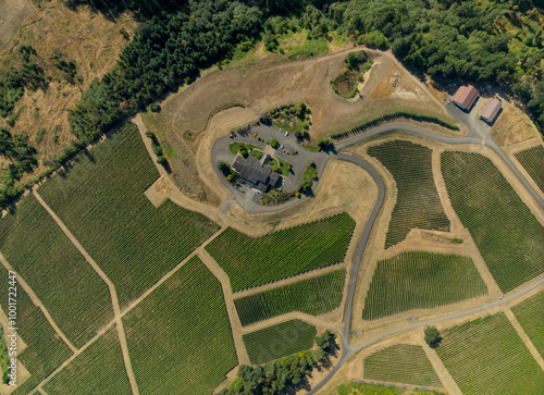 A view of a vineyard with a house in the middle