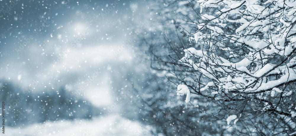 winter landscape with snow-covered trees on both sides of the road and cloudy sky during snowfall winter landscape with snow-covered trees on both sides of the road and cloudy sky during snowfall
