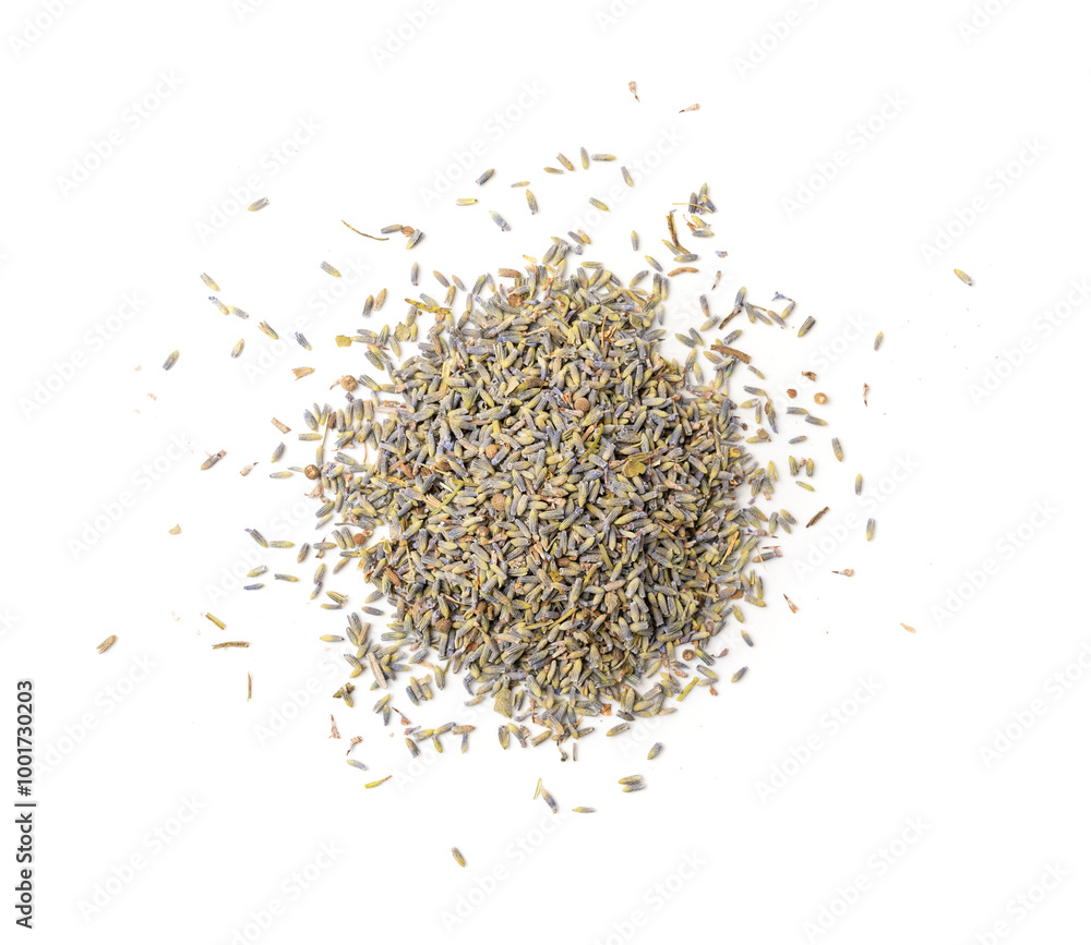 Dry lavender flowers isolated, scattered lavandula perfume buds, petals, fragrance lilac blossoms, herbs Dry lavender flowers isolated, scattered lavandula perfume buds, petals, fragrance lilac blossoms, herbs