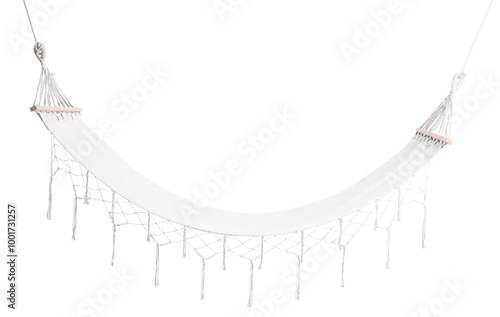 Cozy hammock isolated on wh...