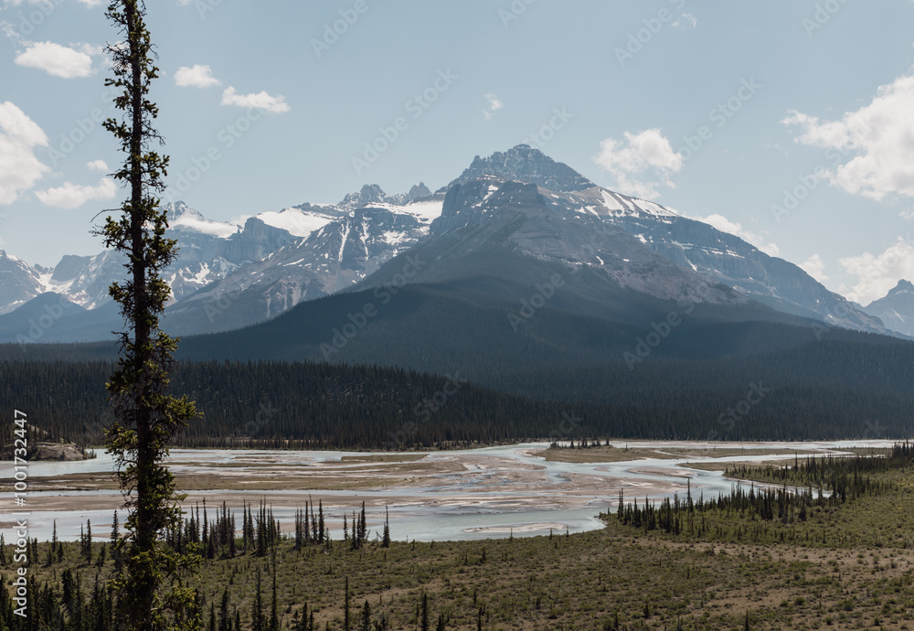 Obraz premium view of a dried lake in the valley with tall mountains in the distance with patches of snow and coniferous trees in the foreground in summer