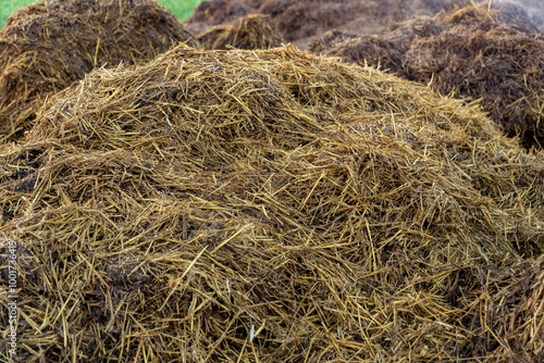 A large mound of fresh manure sits in a sunny rural field, surrounded by lush green grass. The manure appears moist and earthy, indicating recent collection