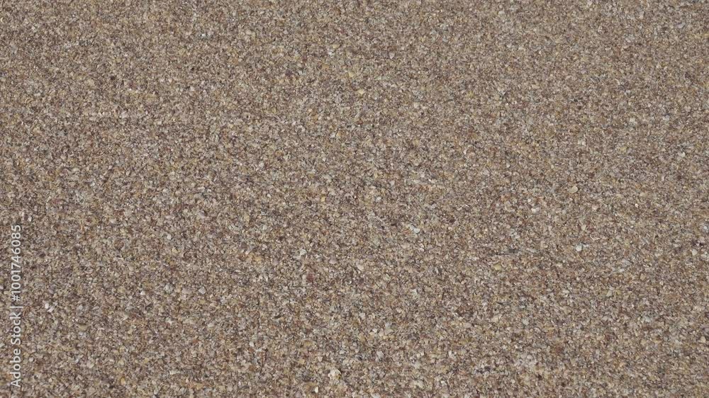 Romantic walk along the sea. Clear sea pearl foam. A gentle wave runs ashore and leaves a foamy trail. The sand greedily absorbs the delicate foam Romantic walk along the sea. Clear sea pearl foam. A gentle wave runs ashore and leaves a foamy trail. The sand greedily absorbs the delicate foam