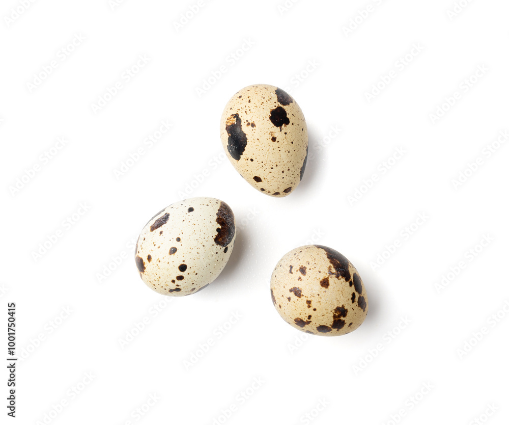 Quail Eggs, Diet Egg, Healthy Breakfast, Natural Organic Nutrition, Salad Ingredient Spotted Quail Egg Quail Eggs, Diet Egg, Healthy Breakfast, Natural Organic Nutrition, Salad Ingredient Spotted Quail Egg