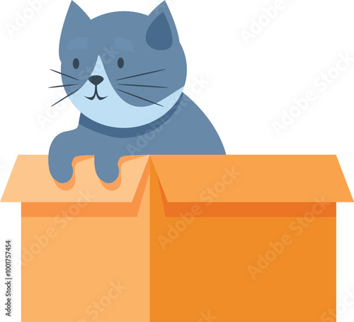 Blue gray cat sitting inside open cardboard box, cute pet playing at home