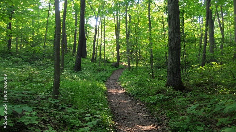 Fototapeta premium Serene Winding Path Through a Lush Green Landscape