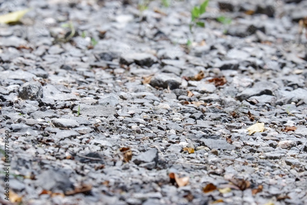 In selective focus a rough pathway,a pile of rocks on the ground floor for background texture In selective focus a rough pathway,a pile of rocks on the ground floor for background texture