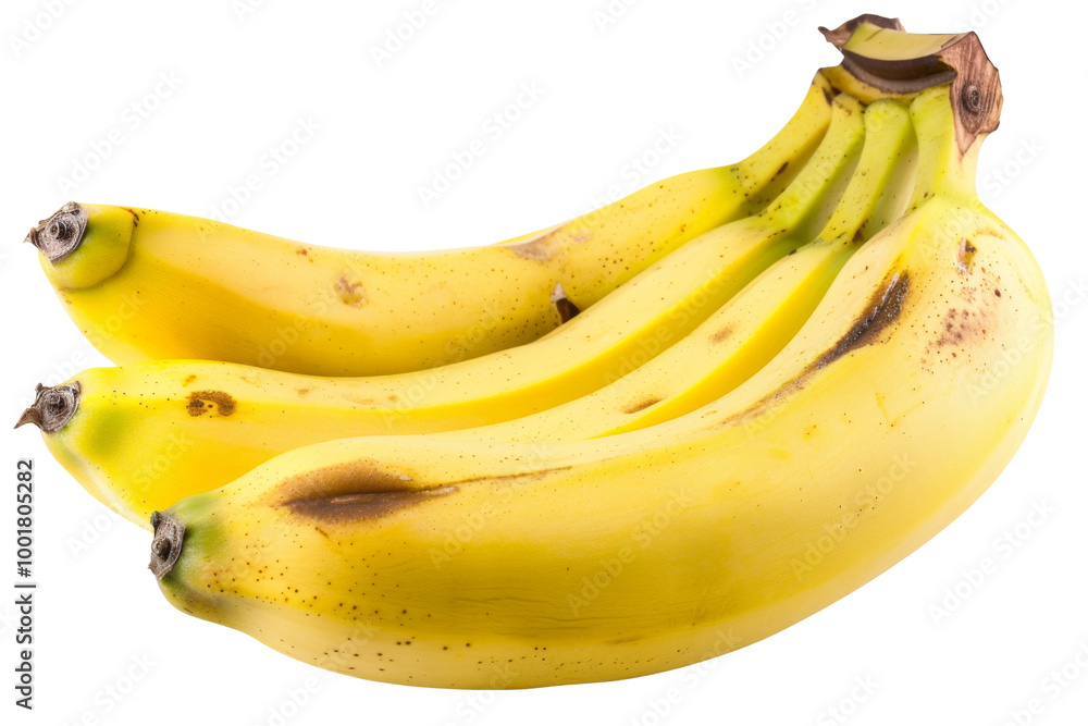 Transparent Banana Bunch, Ripe and Ready to Eat - Tropical Fruit Photography Transparent Banana Bunch, Ripe and Ready to Eat - Tropical Fruit Photography