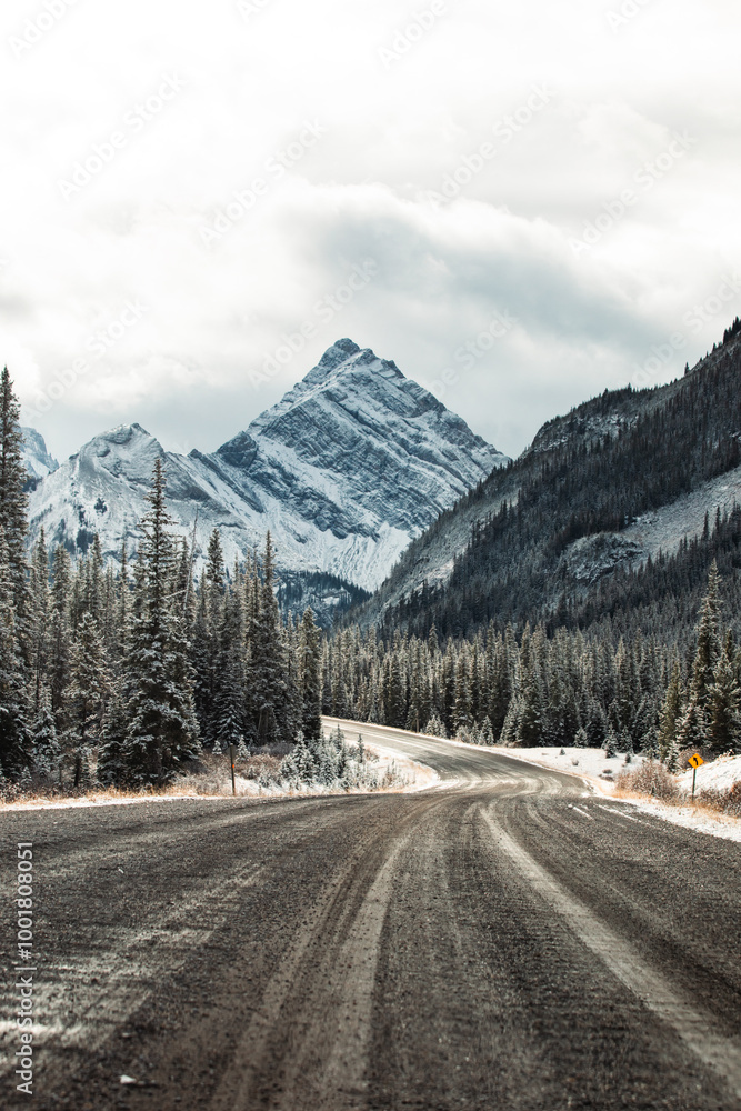 view of a tall mountain peak in the distance with a fresh layer of snow in a wilderness area with a curved gravel road in the foreground view of a tall mountain peak in the distance with a fresh layer of snow in a wilderness area with a curved gravel road in the foreground
