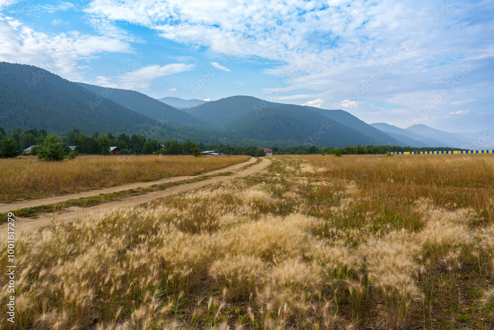Obraz premium Dirt path through grassy field with mountain backdrop