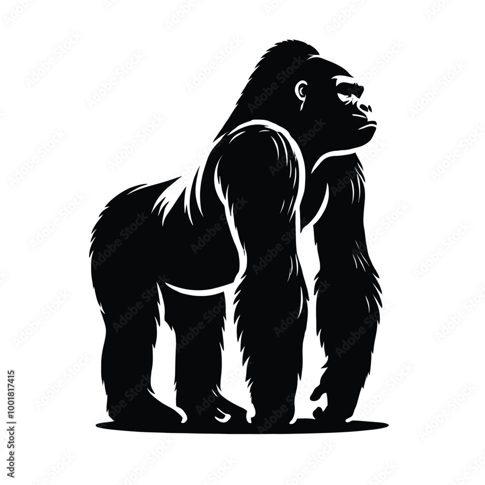 Silverback Gorilla Profile, Silverback Gorilla Profile,