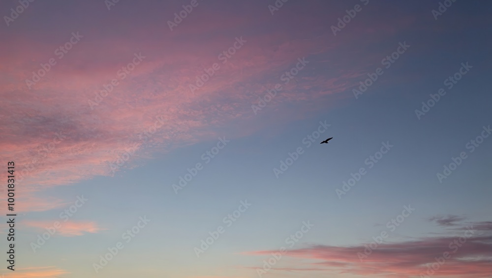 Gradient sunset sky with orange to pink tones Gradient sunset sky with orange to pink tones