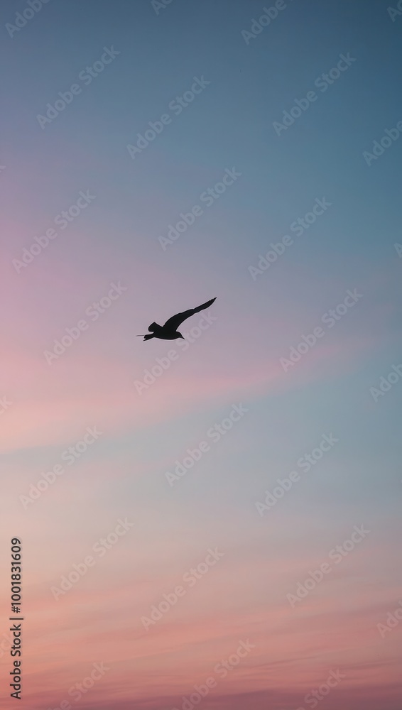 Fototapeta premium Bird flying against gradient sky transitioning from light to dark hues