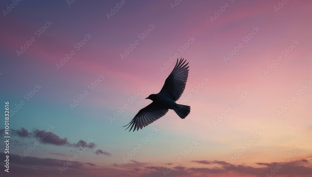 Fototapeta premium Bird in flight at sunset with gradient sky from warm to cool hues