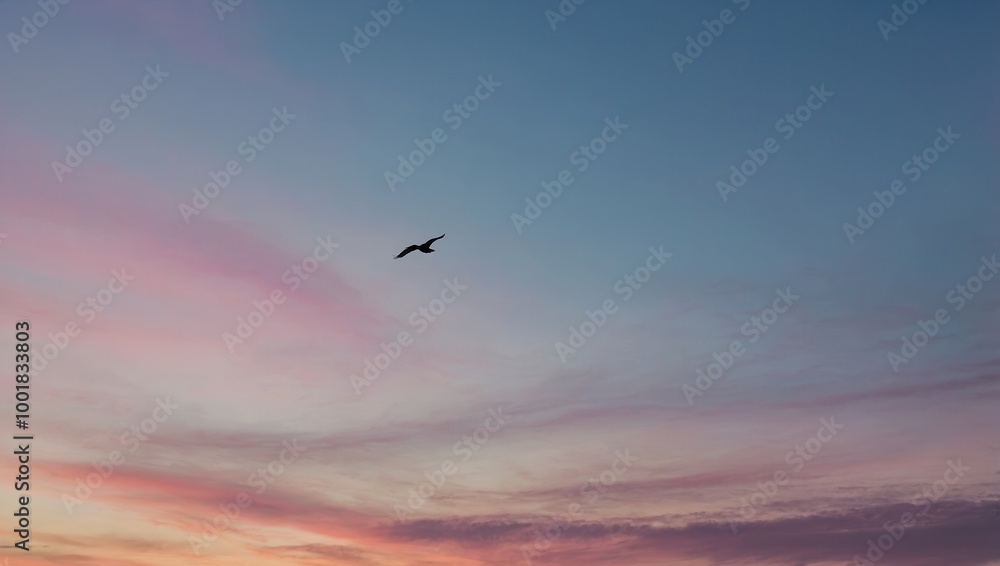 Bird flying at sunset with gradient from pink to blue Bird flying at sunset with gradient from pink to blue