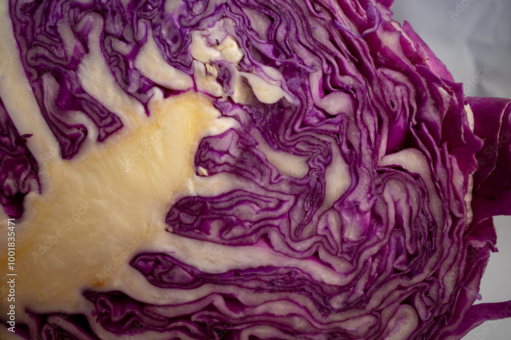 Obraz premium Close-Up Views of Fresh Purple Cabbage Texture