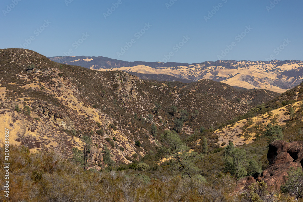 Dry California Landscape, Scenic Brush Dry California Landscape, Scenic Brush