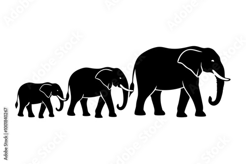  Majestic Elephant Herd Silhouette Featuring a Family of Elephants Walking in Line