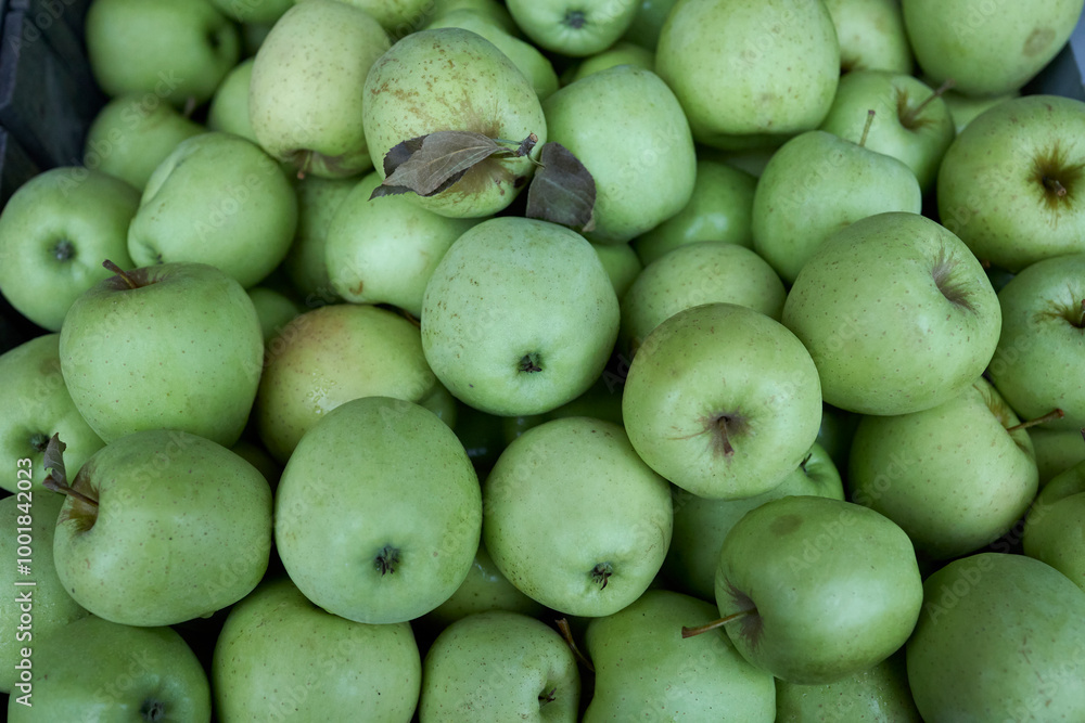 Autumn orchard granny smith apples in a crate Autumn orchard granny smith apples in a crate