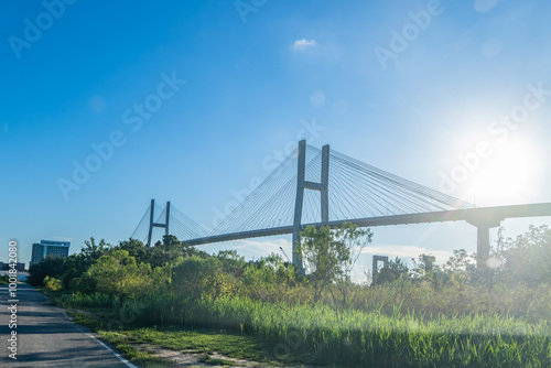 Talmadge Memorial Bridge, Savannah, Georgia photo