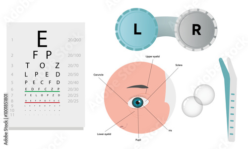 Ophthalmology oculist set vision correction eye anatomy with exam table 